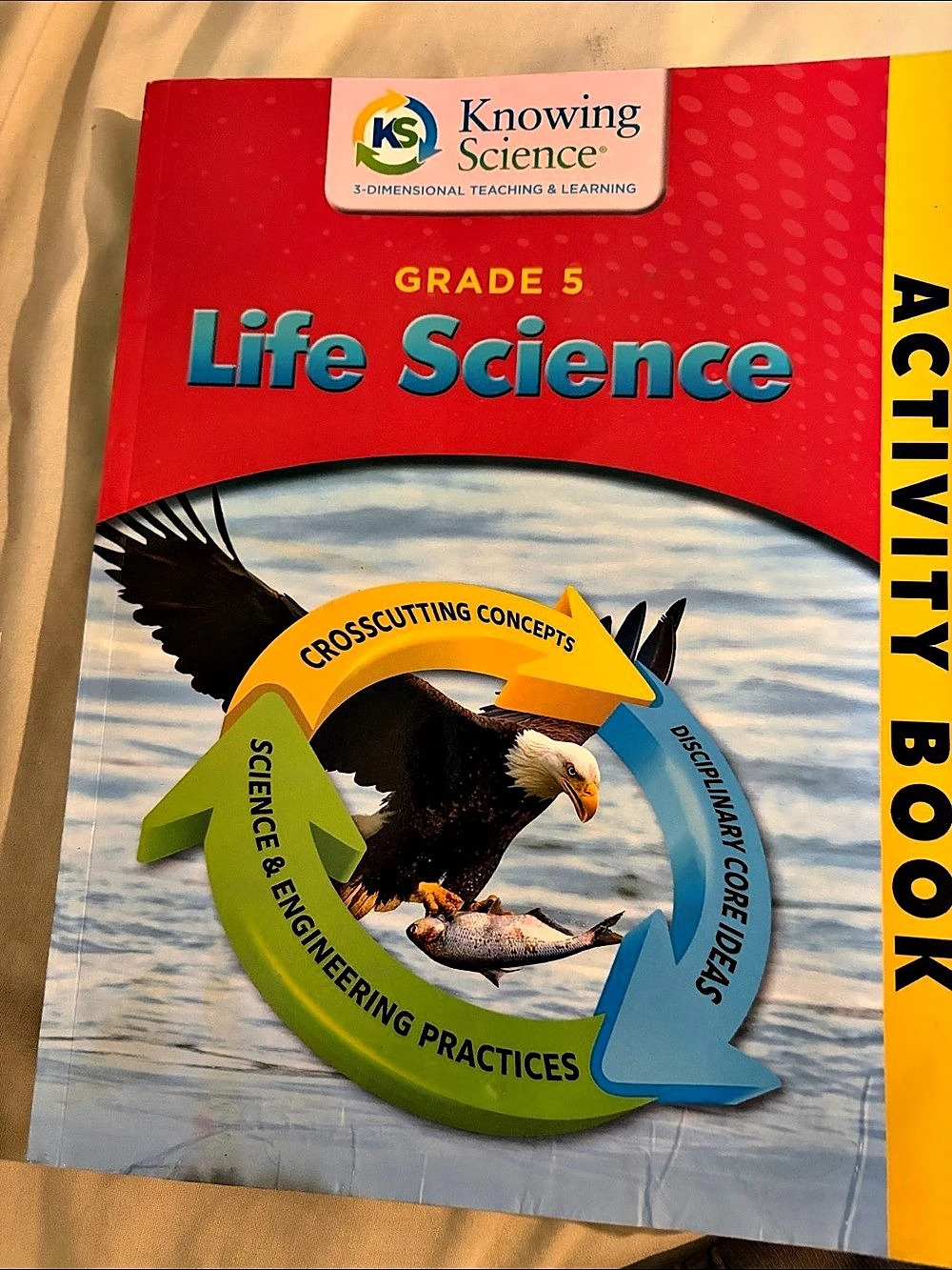 Knowing Science Grade 5 Life Science Activity Book